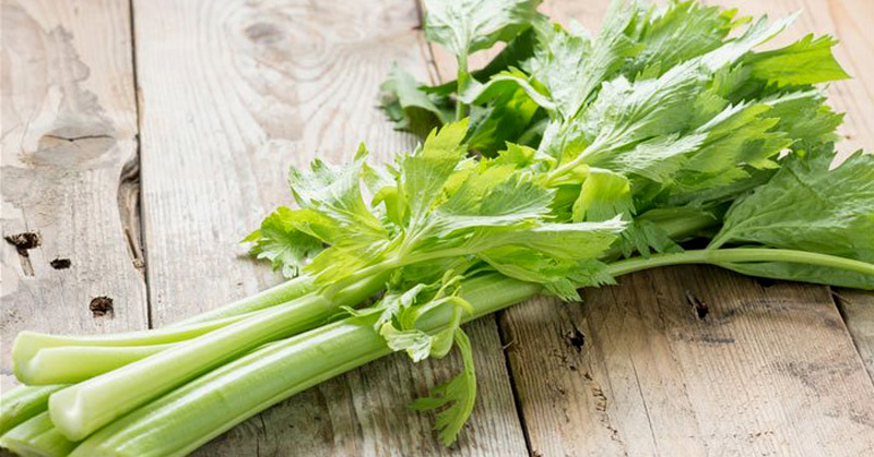 Health benefits of celery