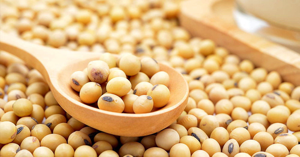 Health benefits of soy