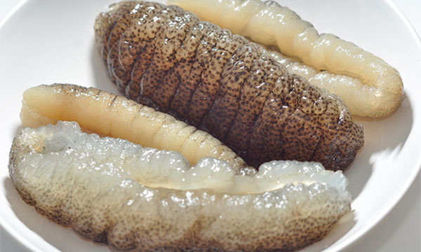 Cooked sea cucumber