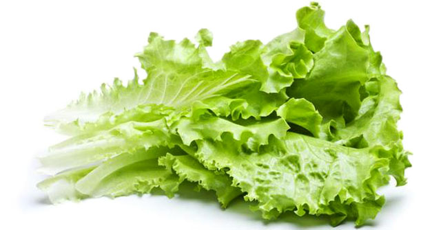 health benefits of lettuce