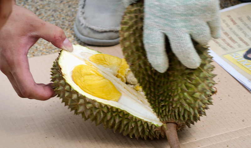How to open durian